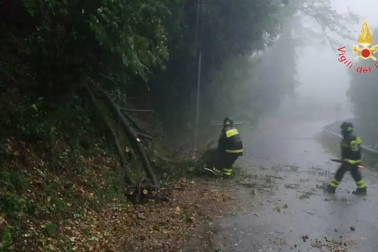 pioggia e vento forte