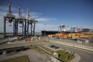 container gioia tauro