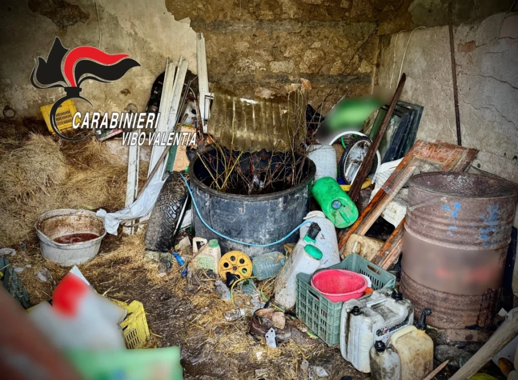 denuncia nardodipace