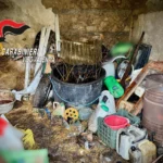 denuncia nardodipace