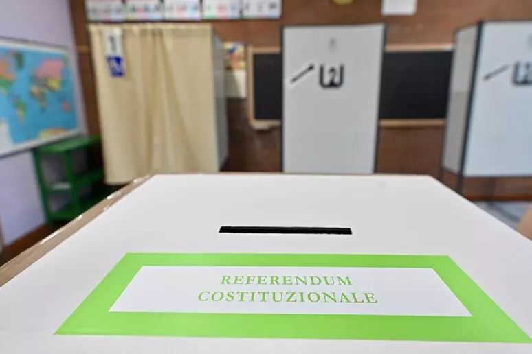 schede referendum