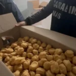 controlli carabinieri