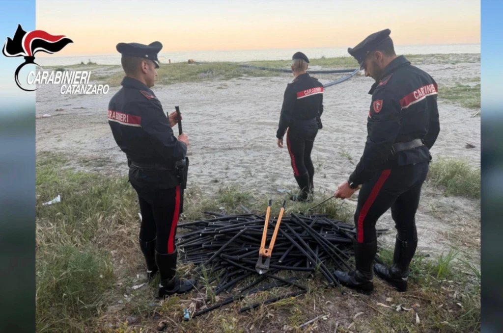 roccelletta di borgia