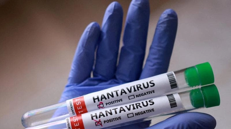 hantavirus