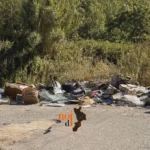 Discariche abusive