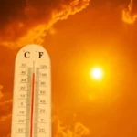 caldo
