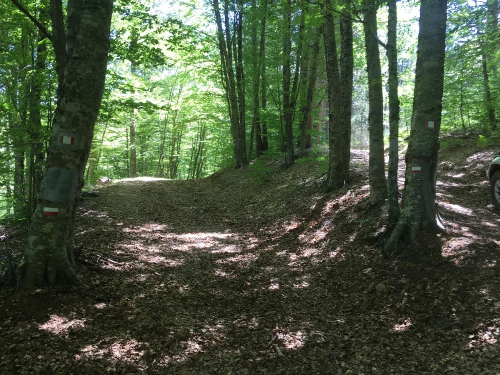 Aspromonte