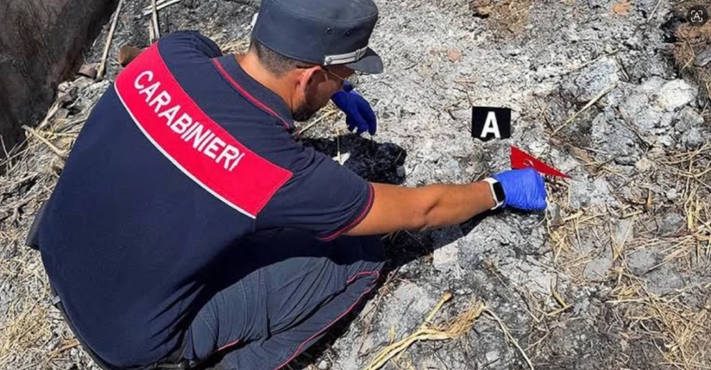 incendio bonifati