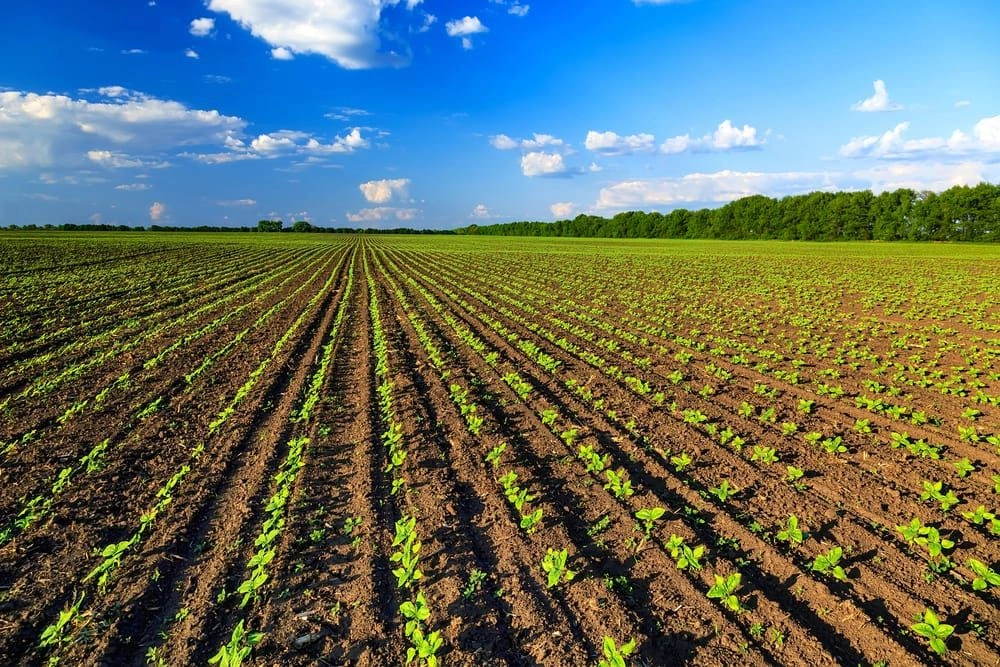 imprese agricole