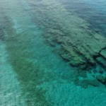 mare zambrone