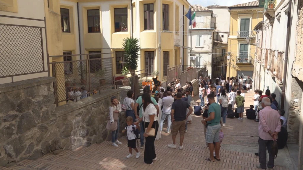 scuole vibo